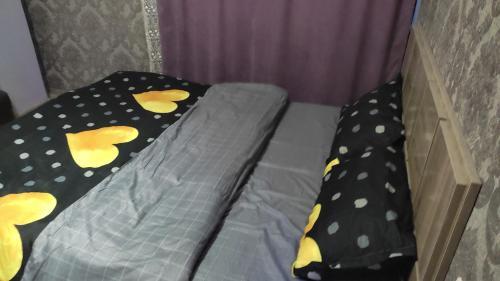 Apartamento ???????? ? ??????! ????? ?????? 150 ????? ?? ????!