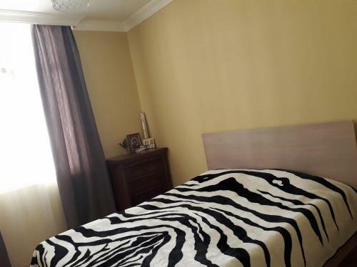 Apartment Madona