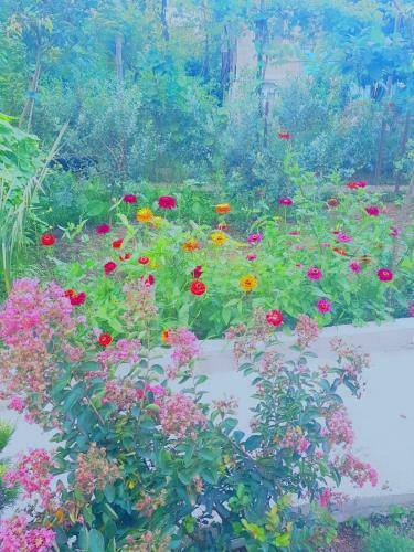 Hostal Holiday House Chkonia