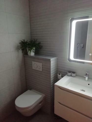 Apartamento Albatros