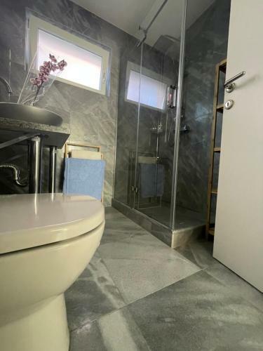 Vila Regina Apartman Rex