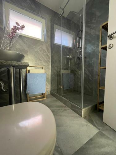 Vila Regina Apartman Rex