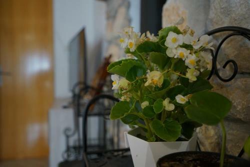 Apartamento Angelina - Stone House