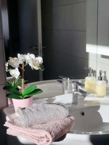 Apartmani Smokovo