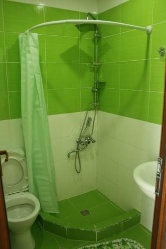 Hostal Eco-house Svani