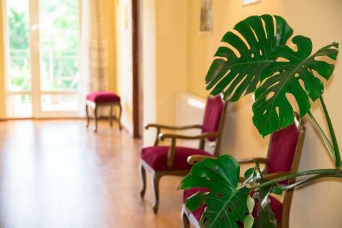 Hostal Eco-house Svani