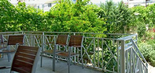 Hostal Eco-house Svani