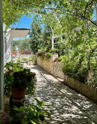 Gorana Apartman With Swimming Pool
