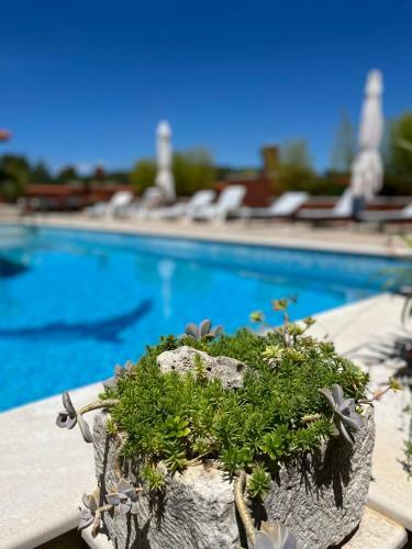 Gorana Apartman With Swimming Pool