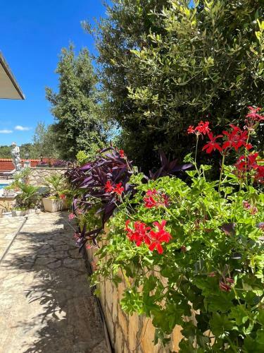 Gorana Apartman With Swimming Pool