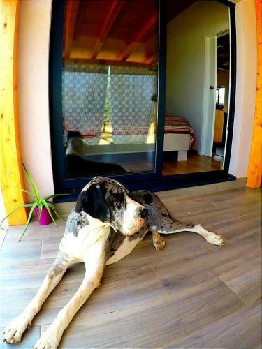 Apartamento Nature Home Eco-friendly Pet-friendly