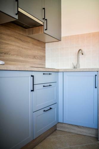 Apartment Draga