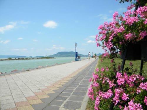 Roberta Apartman