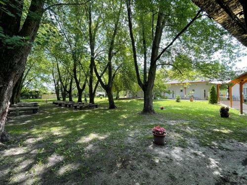 Apartamento Vs Liget �d�l?park