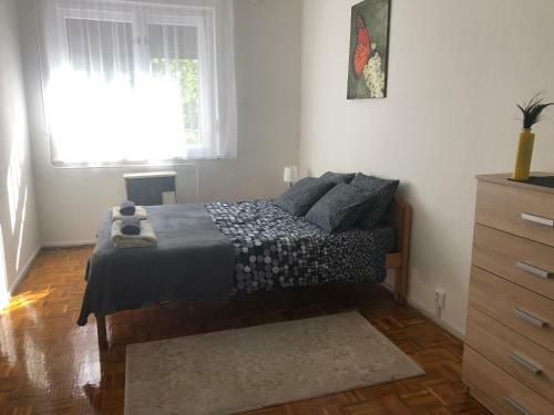 Karman Apartman - 2 Bed Flat, Max 4 Pers, Central Jaszbereny