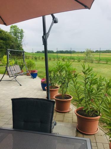 Summerside Apartman Hark�ny
