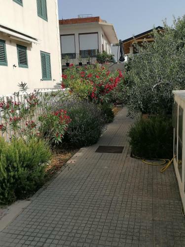 Apartman Ella