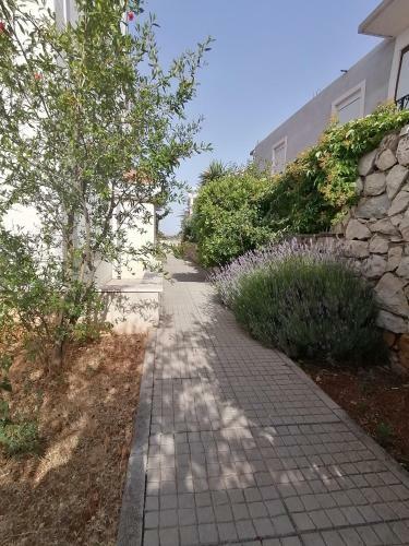 Apartman Ella