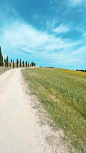 Il Castagneto