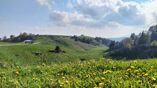 Casa In Montagna - Baita In Lessinia
