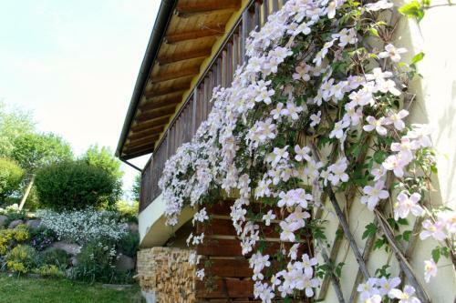 Hostal Art And Sport Pin�