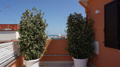 Hostal Duomo Guest House