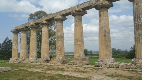 Suite Pitagora