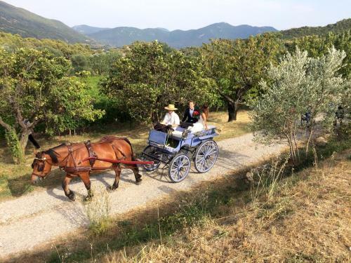 Bed & Breakfast Domaine De Provensol