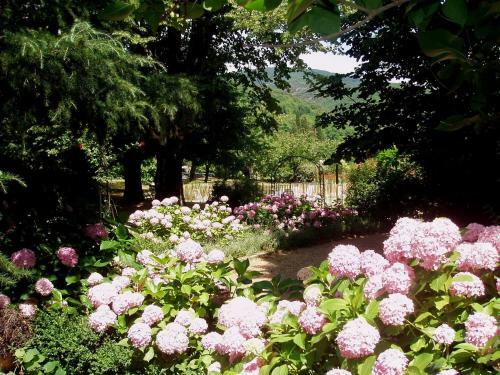 Bed & Breakfast La Cerisaie