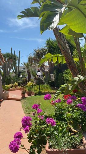 Apartamento Gallina Beach House