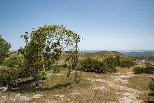 Villa Il Carrubo Con Piscina By Wonderful Italy