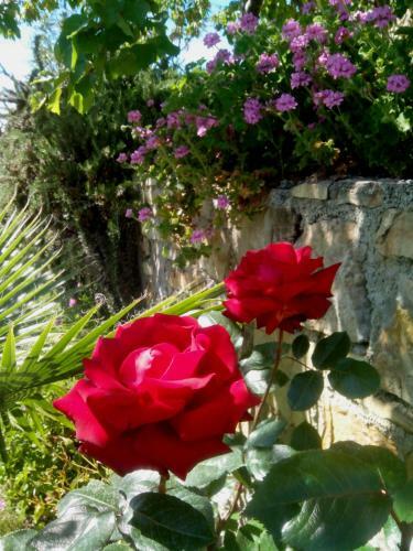 Apartamento Casa Rossa Bordighera