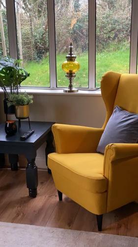 Hostal Sycamore Lodge