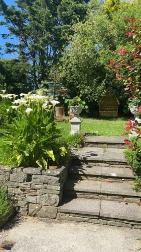 Hostal Sycamore Lodge