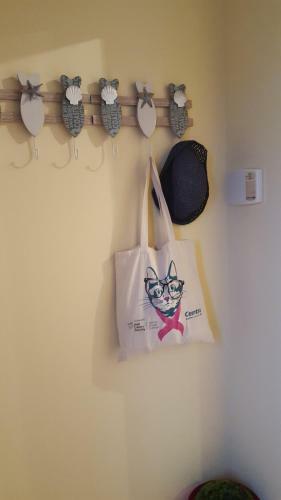 Hostal Coiribe House B&selfbreakfast