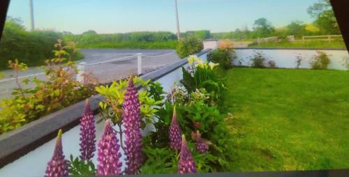 Impeccable 2-bed Cottage In Rural Setting Listowel