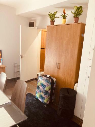 Apartamento Jacuzzi Jungle City Centre