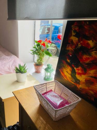 Apartamento Jacuzzi Jungle City Centre