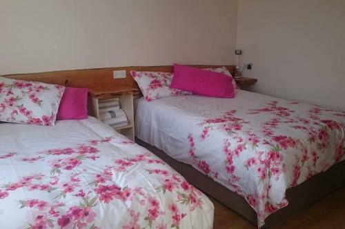 Apartamento Skellig View Bluebell Rose & The Kerry Cliffs