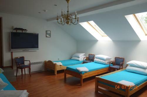 Hostal Sveciu Namai "elektrene"
