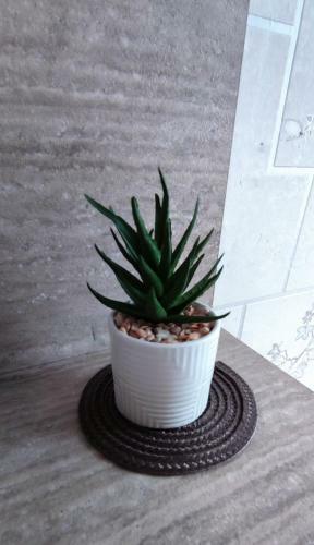 Hanso Apartamentai