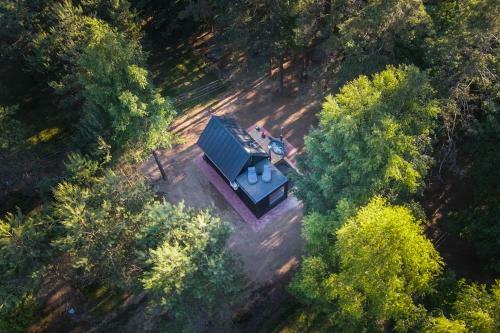 'vir? ??uol?' - Forest Spa - Horses - 'brendis'