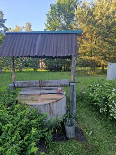 Rucava Village 2 Houses For 1 Price