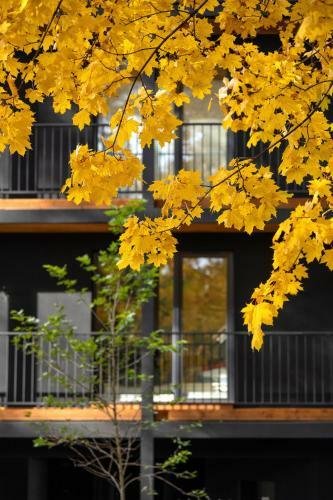 Apartament Villareden Chorz�w