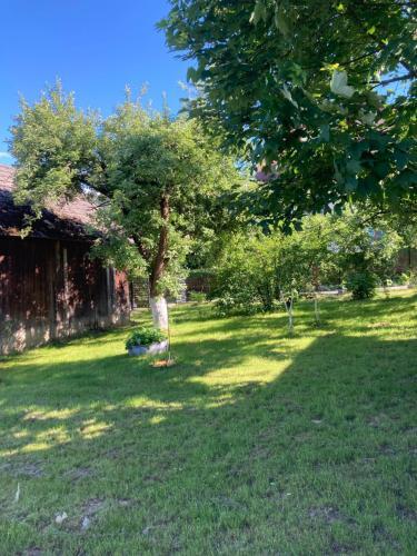 Villa Gospodarstwo Przy Drodze.