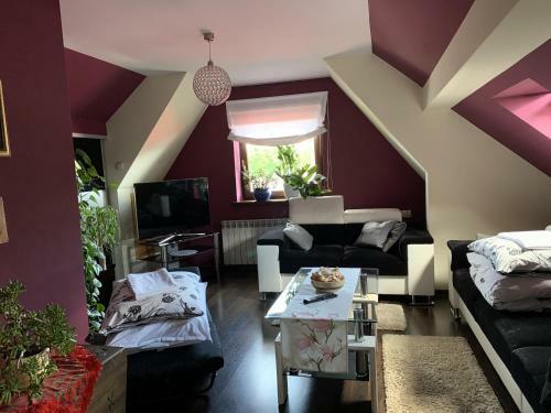Apartament Podczerwone