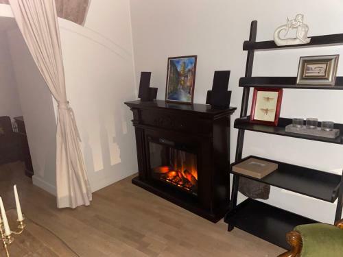 Exclusive Gaono Apartment In Old Town