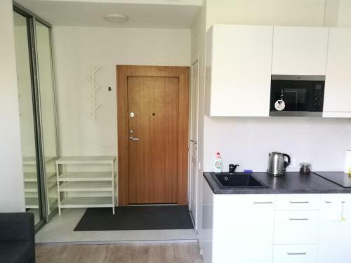 Vilnius Town Apartmen