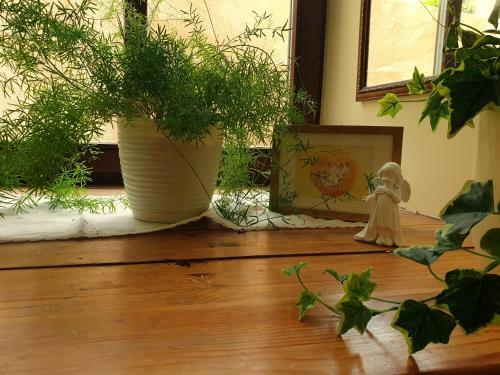 Apartamento Cozy Suite With Inner Yard