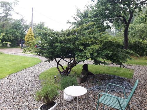 Hostal Large Guest House, Shared With The Hosts, Convenient With Children